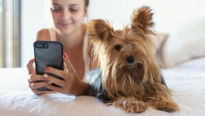 Find the Best Puppy Shop in Delhi for Your Furry Friend
